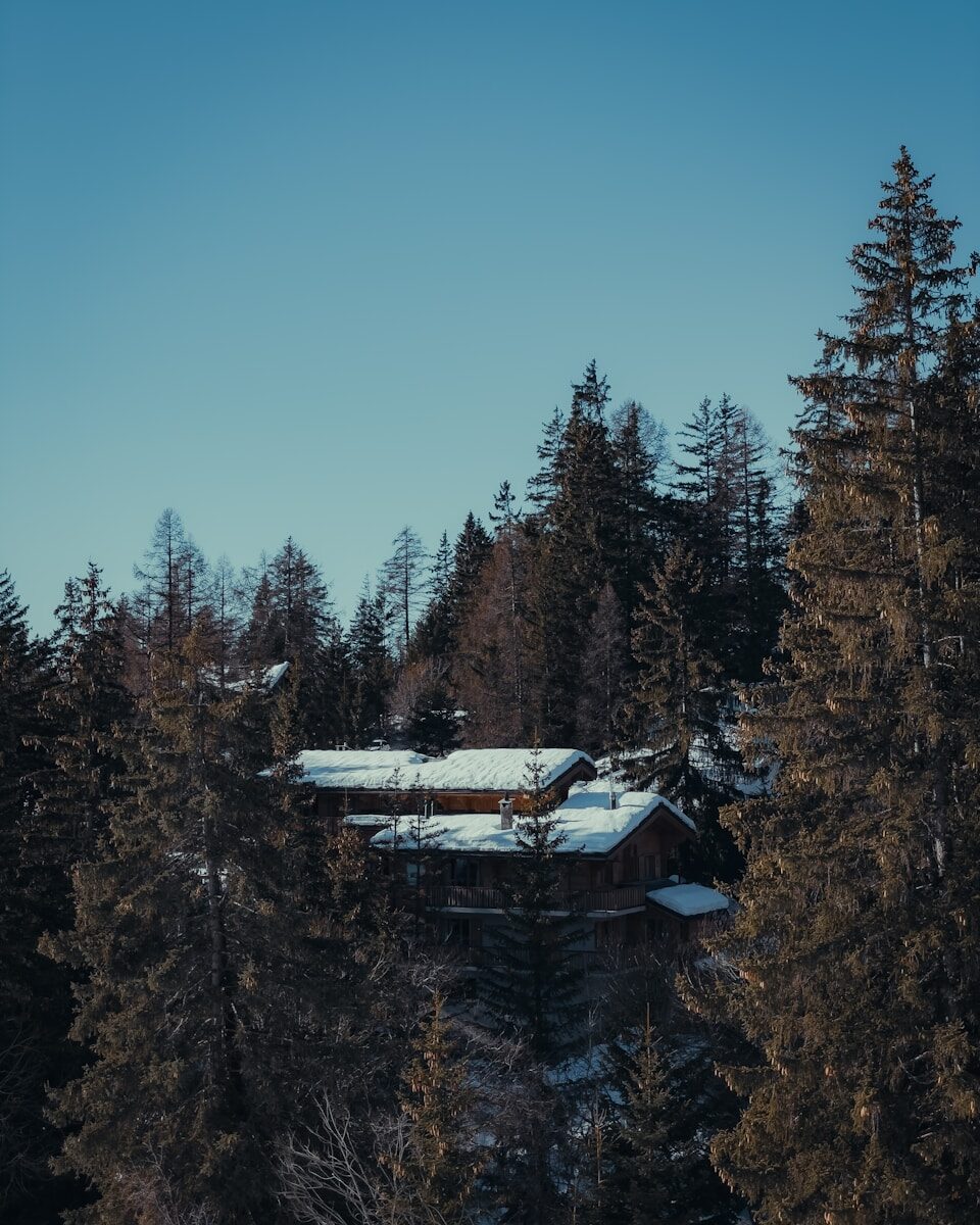 Photo by Angelo Jesus a man riding on top of a snow covered forest